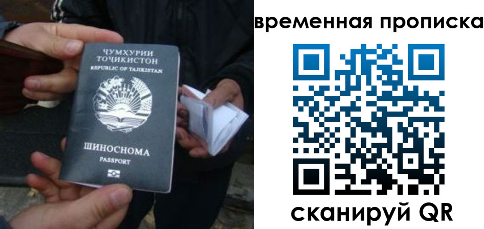 прописка законно в Михайловске